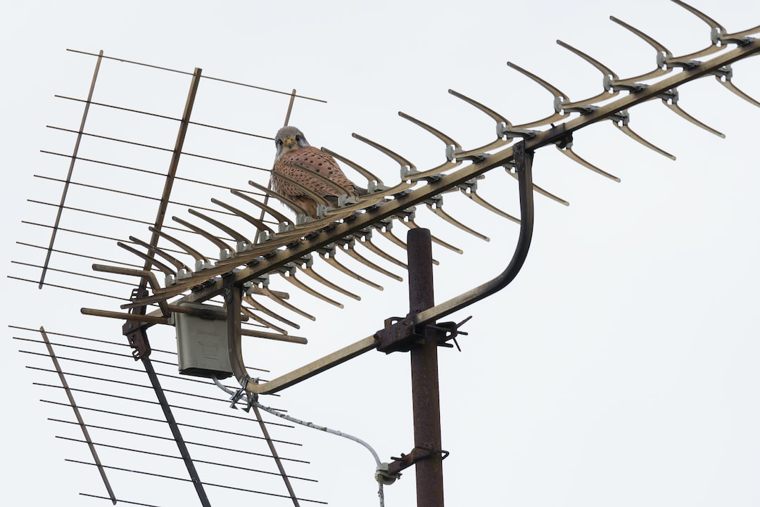 Level up Your Home Entertainment With the Right Antenna Service